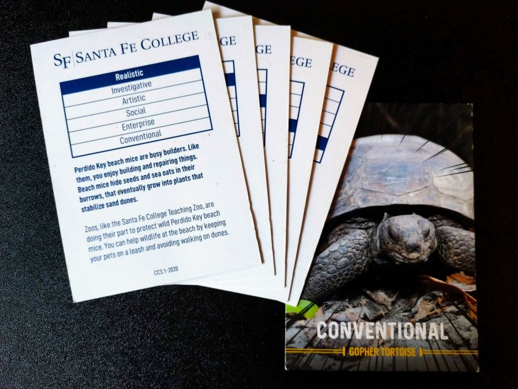 Trading cards with animals on them. A tortoise is featured.